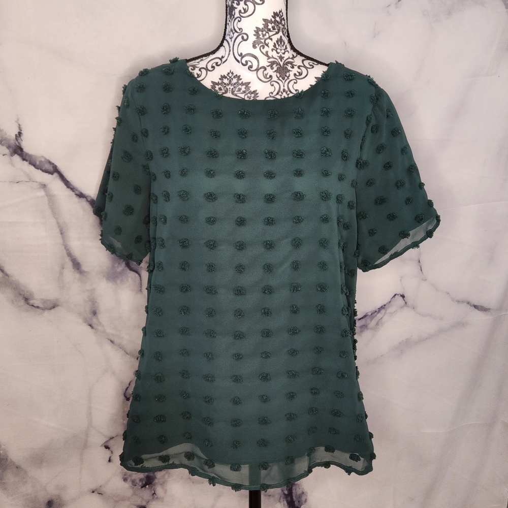 Chiffon pom pom blouse